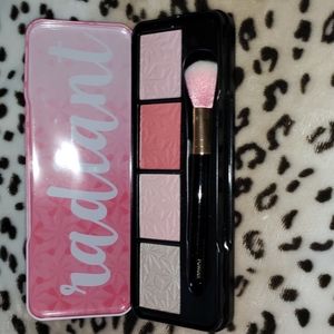 Color Workshop Blush Set